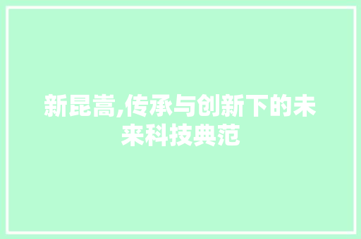 新昆嵩,传承与创新下的未来科技典范 英文谷歌算法
