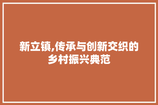 新立镇,传承与创新交织的乡村振兴典范