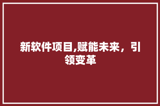 新软件项目,赋能未来，引领变革 小程序开发