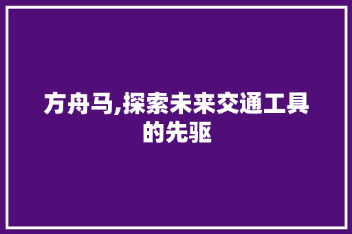 方舟马,探索未来交通工具的先驱