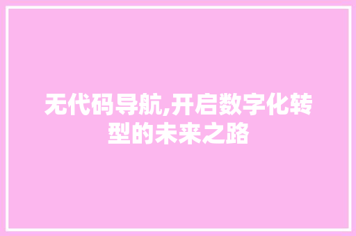 无代码导航,开启数字化转型的未来之路