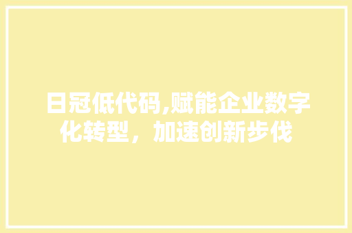 日冠低代码,赋能企业数字化转型，加速创新步伐