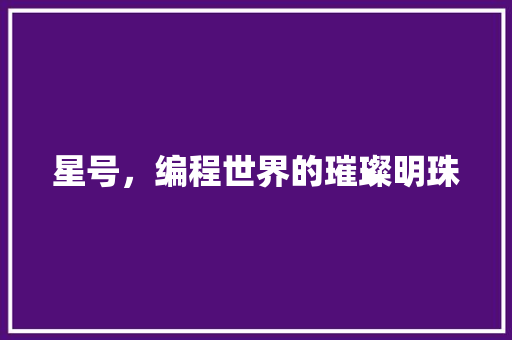 星号，编程世界的璀璨明珠 360搜优化
