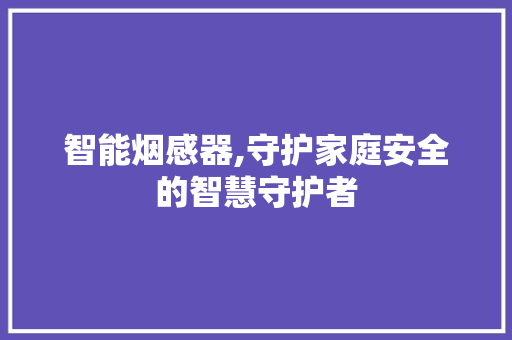 智能烟感器,守护家庭安全的智慧守护者 搜狗优化