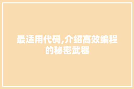 最适用代码,介绍高效编程的秘密武器