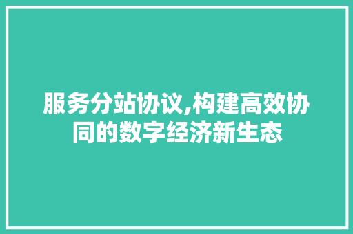 服务分站协议,构建高效协同的数字经济新生态 网站优化