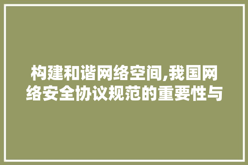 构建和谐网络空间,我国网络安全协议规范的重要性与方法路径