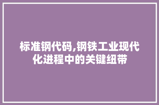 标准钢代码,钢铁工业现代化进程中的关键纽带