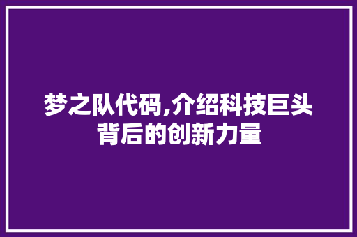 梦之队代码,介绍科技巨头背后的创新力量