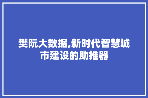 樊阮大数据,新时代智慧城市建设的助推器