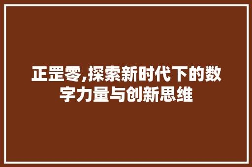 正罡零,探索新时代下的数字力量与创新思维