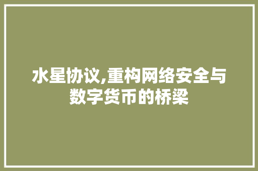 水星协议,重构网络安全与数字货币的桥梁