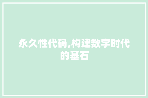 永久性代码,构建数字时代的基石 小程序开发