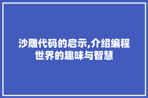 沙雕代码的启示,介绍编程世界的趣味与智慧 小程序开发