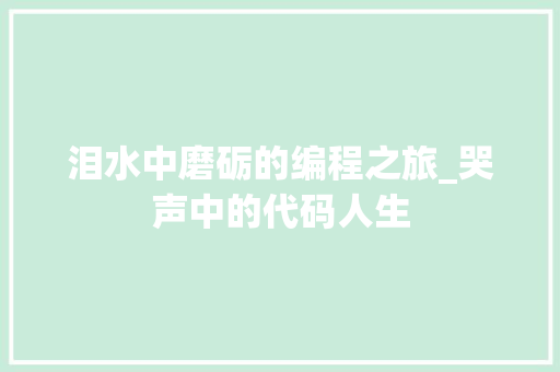 泪水中磨砺的编程之旅_哭声中的代码人生 网站优化