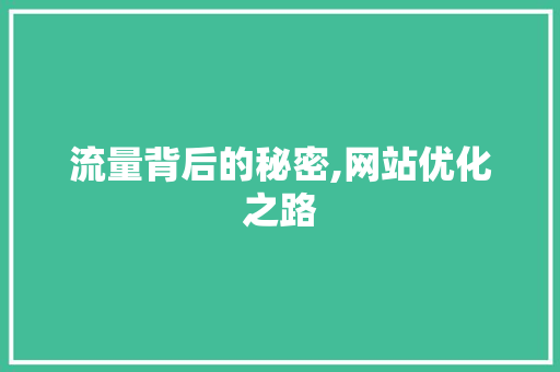 流量背后的秘密,网站优化之路