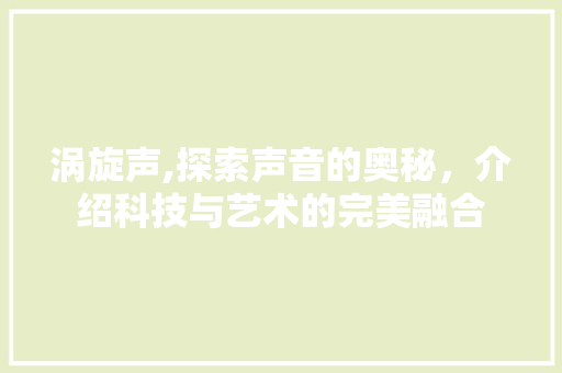 涡旋声,探索声音的奥秘，介绍科技与艺术的完美融合 网站开发