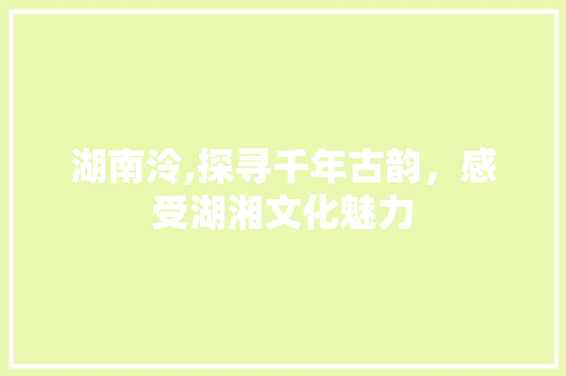 湖南泠,探寻千年古韵，感受湖湘文化魅力 seo技术