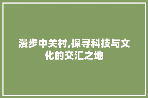 漫步中关村,探寻科技与文化的交汇之地