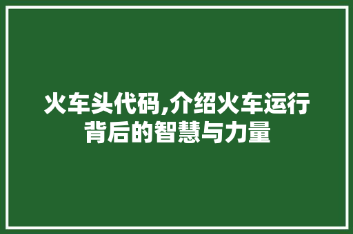火车头代码,介绍火车运行背后的智慧与力量