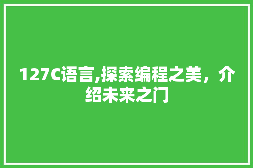 127C语言,探索编程之美，介绍未来之门 英文谷歌算法