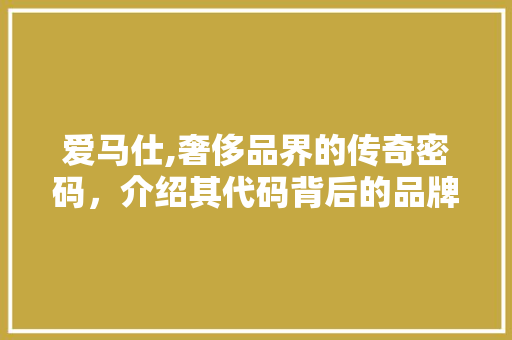 爱马仕,奢侈品界的传奇密码，介绍其代码背后的品牌魅力