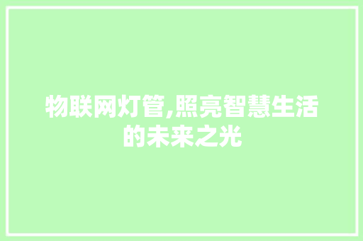 物联网灯管,照亮智慧生活的未来之光