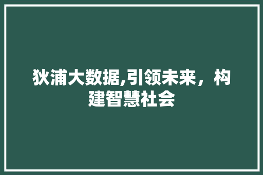 狄浦大数据,引领未来，构建智慧社会