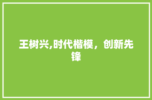 王树兴,时代楷模，创新先锋 网站优化