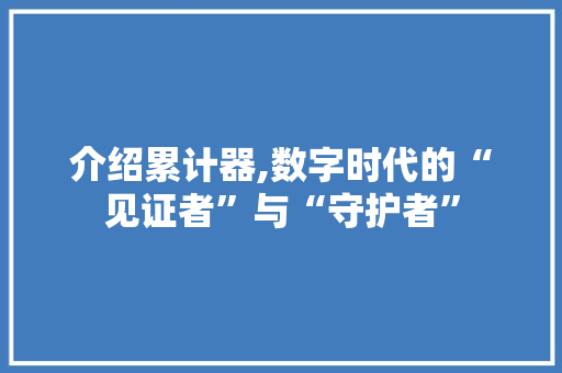 介绍累计器,数字时代的“见证者”与“守护者”