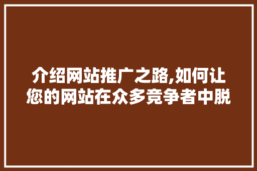 介绍网站推广之路,如何让您的网站在众多竞争者中脱颖而出 seo技术