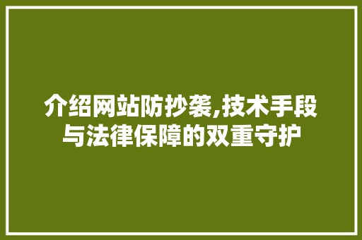 介绍网站防抄袭,技术手段与法律保障的双重守护