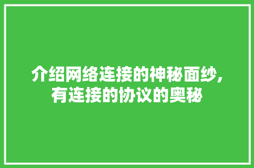 介绍网络连接的神秘面纱,有连接的协议的奥秘 英文谷歌算法