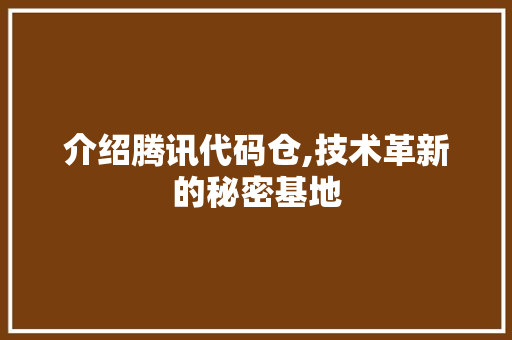介绍腾讯代码仓,技术革新的秘密基地 网站优化