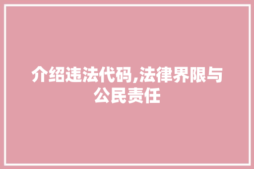 介绍违法代码,法律界限与公民责任 小程序开发