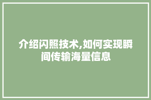 介绍闪照技术,如何实现瞬间传输海量信息