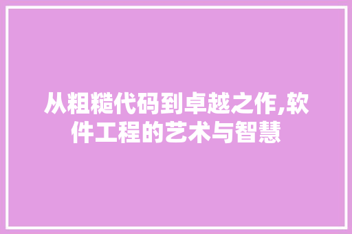 从粗糙代码到卓越之作,软件工程的艺术与智慧