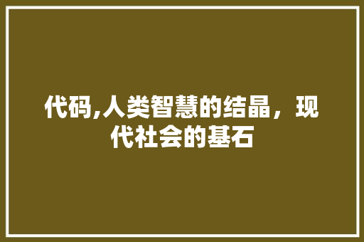代码,人类智慧的结晶，现代社会的基石