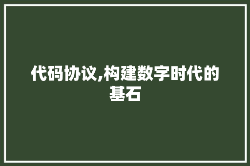 代码协议,构建数字时代的基石 百度算法