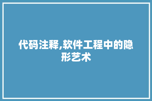 代码注释,软件工程中的隐形艺术