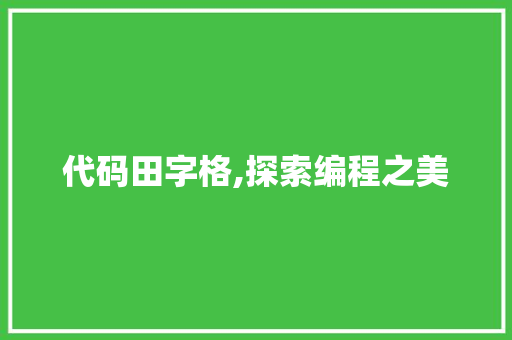 代码田字格,探索编程之美 网站优化 代码田字格,探索编程之美 网站优化