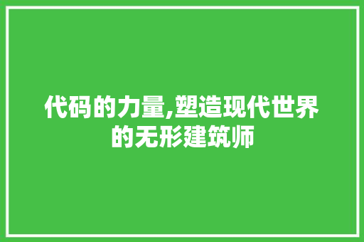 代码的力量,塑造现代世界的无形建筑师 小程序开发
