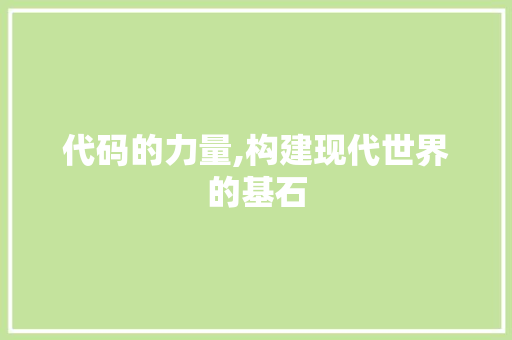 代码的力量,构建现代世界的基石