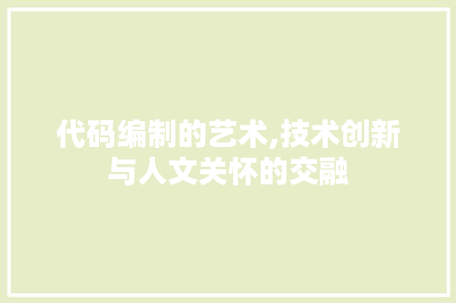 代码编制的艺术,技术创新与人文关怀的交融 网站优化