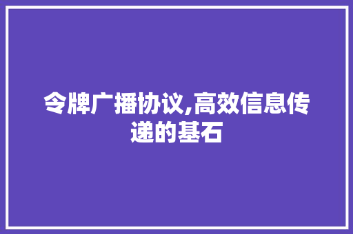 令牌广播协议,高效信息传递的基石