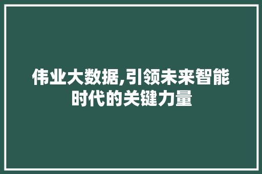 伟业大数据,引领未来智能时代的关键力量