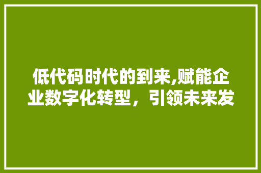低代码时代的到来,赋能企业数字化转型，引领未来发展新趋势