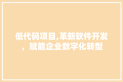 低代码项目,革新软件开发，赋能企业数字化转型