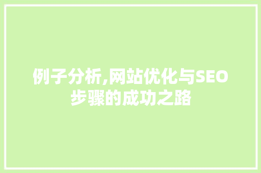 例子分析,网站优化与SEO步骤的成功之路 seo技术