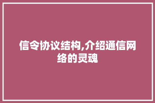 信令协议结构,介绍通信网络的灵魂